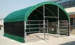 Nieuw in kist - schuilstal/weidetent, Dieren en Toebehoren, Stalling en Weidegang, Weidegang, 4 paarden of pony's of meer