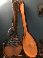 Bouzouki met koffer in goede staat, Muziek en Instrumenten, Ophalen of Verzenden, Gebruikt