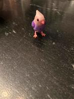 Digibird - Interactieve Vogel, Ophalen of Verzenden, Zo goed als nieuw, Jongen of Meisje