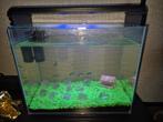 Aquarium te koop met pomp en filter 2 haaien en 3 tetra s, Dieren en Toebehoren, Ophalen of Verzenden, Leeg aquarium