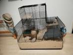 Knaagdier kooi rattenkooi zwart met glazen plaat, Ophalen, Gebruikt, Kooi, Hamster
