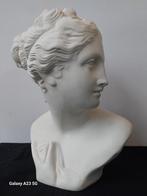 Antiek borstbeeld terracotta buste van Venus Venere Italica, Ophalen