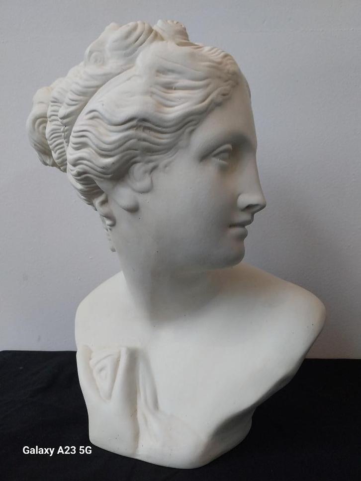 Antiek borstbeeld terracotta buste van Venus Venere Italica, Antiek en Kunst, Kunst | Beelden en Houtsnijwerken, Ophalen