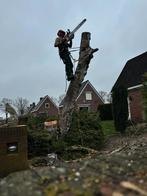 Boom kappen of snoeien, Tuinonderhoud of Snoeiwerk