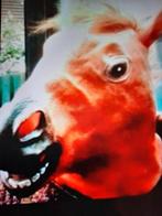 Paardenmasker, Ophalen, Zo goed als nieuw