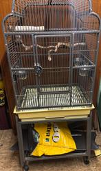 Te koop vogel kooi, Dieren en Toebehoren, Ophalen, Metaal, Vogelkooi