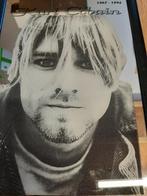 Nirvana Kurt Cobain spiegel 33 x 23 cm, Ophalen of Verzenden