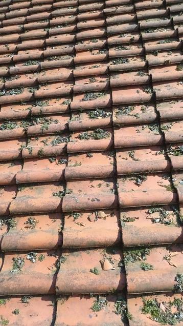 Dakpannen van oordt Orange +/- 500 stuks.  beschikbaar voor biedingen