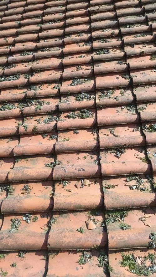 Dakpannen van oordt Orange +/- 500 stuks., Doe-het-zelf en Verbouw, Dakpannen en Dakbedekking, Gebruikt, Dakpannen, Steen of Klei