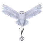 Anne Stokes Wanddecoratie Uil Awaken Your Magic 43cm Nieuw, Ophalen of Verzenden, Nieuw, Dier