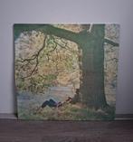 John Lennon Plastic Ono Band  Lp, Cd's en Dvd's, Vinyl | Pop, Ophalen of Verzenden, 1960 tot 1980, Gebruikt, 12 inch