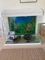 Aquarium, Dieren en Toebehoren, Vissen | Aquaria en Toebehoren, Ophalen, Zo goed als nieuw, Leeg aquarium