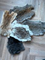 Decoratie Konijnenvachten, uiteraard niet echt!!, Minder dan 50 cm, Overige kleuren, Nieuw, Ophalen of Verzenden