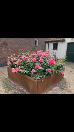 Grote Cortenstaal Plantenbak, Tuin en Terras, 100 cm of meer, Nieuw, Ophalen of Verzenden, Metaal