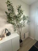 Olijfboom, Huis en Inrichting, Woonaccessoires | Kunstplanten en Kunstbloemen, Ophalen of Verzenden, Nieuw, Binnen