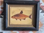Vintage lijst daarin een afbeelding van een vis., Antiek en Kunst, Kunst | Schilderijen | Modern, Ophalen of Verzenden