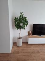 Kunstplant IKEA (zonder pot!), Huis en Inrichting, Woonaccessoires | Kunstplanten en Kunstbloemen, Ophalen, Zo goed als nieuw