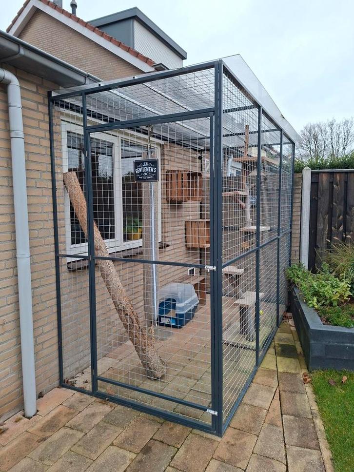 Grote Kattenren met deur en sloten, Dieren en Toebehoren, Hondenhokken, Ophalen