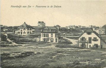 (304-076-011) Noordwijk aan Zee Panorama in de Duinen beschikbaar voor biedingen