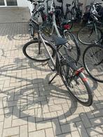 Cortina speed fiets