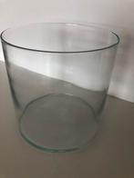 Grote glazen vaas voor tulpen, bloembollen etc, Overige kleuren, Ophalen of Verzenden, Minder dan 50 cm, Glas