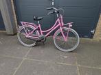 Meisjesfiets 22 inch Alpina Cargo Roze, Fietsen en Brommers, Ophalen, 22 inch, Alpina, Handrem