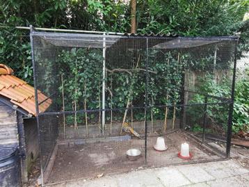 Grote zwarte volière kattenren beschikbaar voor biedingen