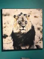 Nieuw akoestisch schilderij (leeuw), Ophalen