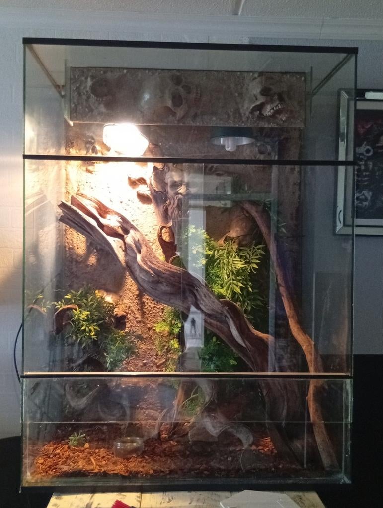 heel mooi terrarium met skulls erin verwerkt maar 1 van, Ophalen, Zo goed als nieuw