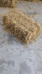 Kleine STROBAALTJES, Ophalen