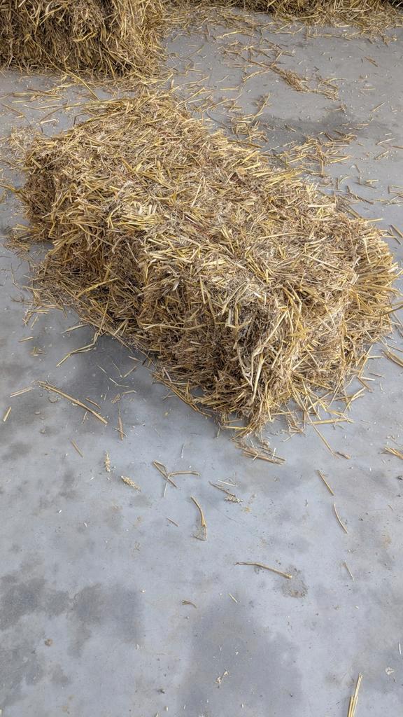 Kleine STROBAALTJES, Dieren en Toebehoren, Dierenvoeding, Ophalen