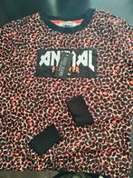 Nieuw Cars trui!, Meisje, Trui of Vest, Nieuw, Ophalen of Verzenden