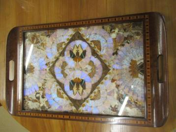 Oer 11288 Engels noten dienblad met vlinders achter glas beschikbaar voor biedingen