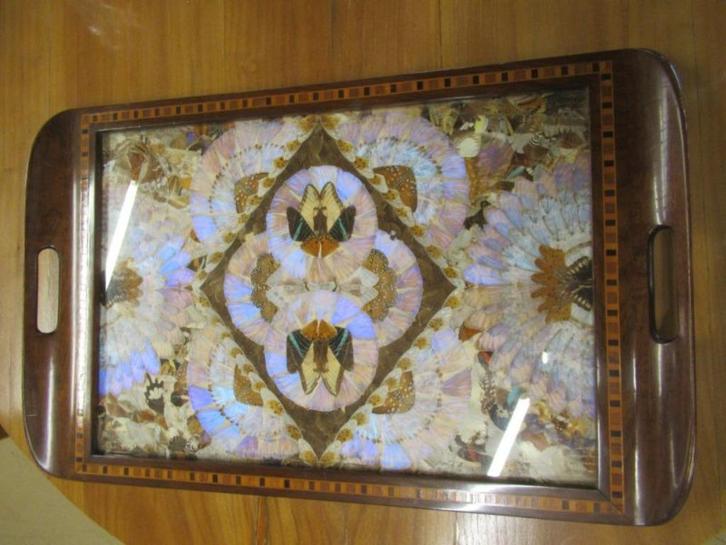 Oer 11288 Engels noten dienblad met vlinders achter glas, Antiek en Kunst, Antiek | Overige Antiek, Ophalen