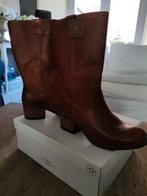 Bruine Dames laarzen maat 41 nieuw, Kleding | Dames, Schoenen, Hoge laarzen, Bruin, Nieuw, Ophalen of Verzenden