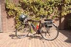 Herenfiets Giant Expedition 52 cm, Fietsen en Brommers, Ophalen, Gebruikt, Versnellingen, 49 tot 53 cm
