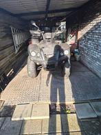 TGB Blade 325 Quad - op auto kenteken, Fietsen en Brommers, Minibikes, Midibikes en Pitbikes, Ophalen, Overige typen