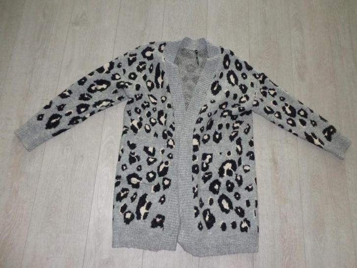 div damesvesten/truien, maat M,Ivy & You, Only, Street One, Kleding | Dames, Truien en Vesten, Gedragen, Maat 38/40 (M), Overige kleuren