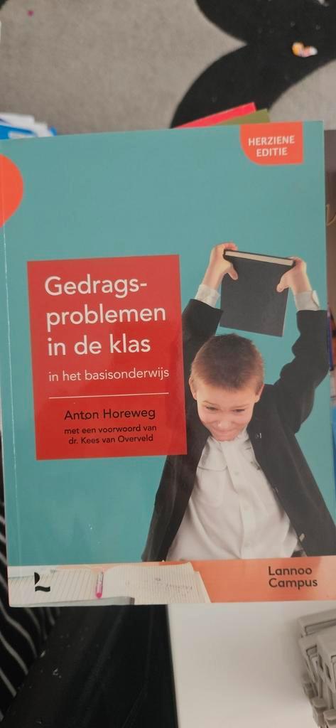 Gedragsproblemen in de klas in het basisonderwijs A. Horeweg, Boeken, Psychologie, Zo goed als nieuw, Ontwikkelingspsychologie