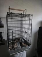 Vogelkooi, Dieren en Toebehoren, Ophalen, Metaal, Vogelkooi