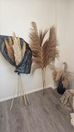 Pampas pluimen groot en klein MOET WEG!, Huis en Inrichting, Ophalen