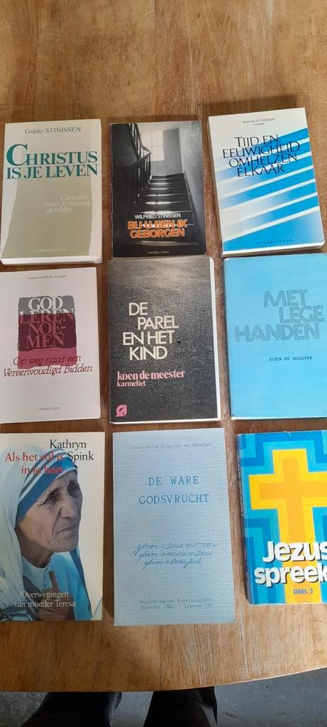 Koen de Meester, Stinissen, grignon de Mknt fort en Jezus sp, Boeken, Partijen en Verzamelingen, Gelezen, Ophalen of Verzenden