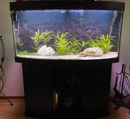 Aquarium Jewel 260 liter met onderkast, Dieren en Toebehoren, Vissen | Aquaria en Toebehoren, Ophalen, Zo goed als nieuw, Leeg aquarium