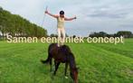 Trainingsdag/Instructie/Workshopdagen, Dieren en Toebehoren, Paarden en Pony's | Overige Paardenspullen, Nieuw, Recreatie, Dressuur