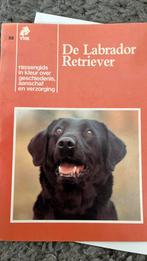 Labrador retriever, Ophalen of Verzenden, Zo goed als nieuw