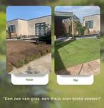 Tuinonderhoud, hovenier, Zwolle, Ophalen of Verzenden, Zomer, Overige soorten, Volle zon