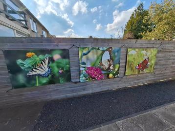 3 tuinposters met vlinders  beschikbaar voor biedingen