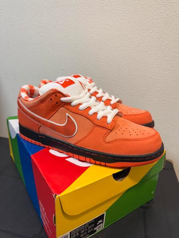 Nike Dunk Low SB Orange Lobster | Maat 44,5 | Nieuw beschikbaar voor biedingen