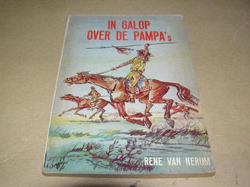 In galop over de pampa's- Rene van Nerum beschikbaar voor biedingen