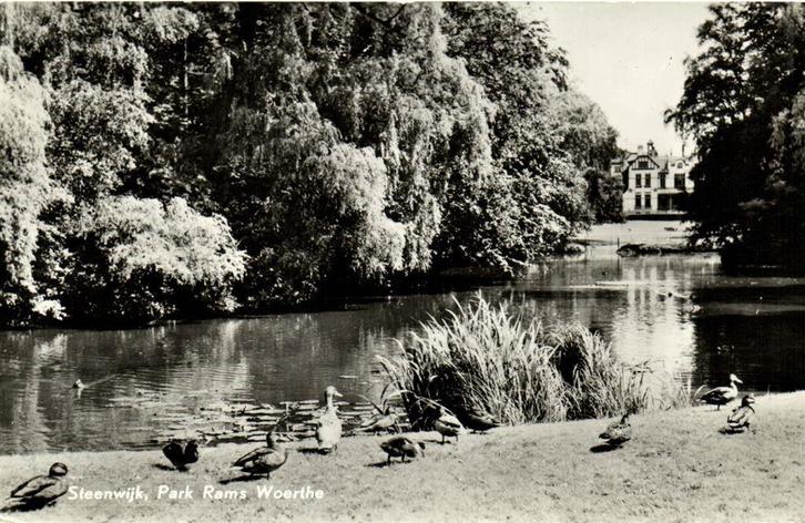 Steenwijk, Park Rams Woerthe - eenden - 1966 gelopen, Verzamelen, Ansichtkaarten | Nederland, Ongelopen, Overijssel, Voor 1920
